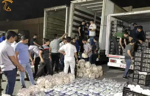 راه اندازی پایانه فروش قارچ در تهران
