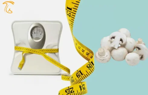 چربی سوزی و کاهش وزن با قارچ برای رفع خطر چاقی