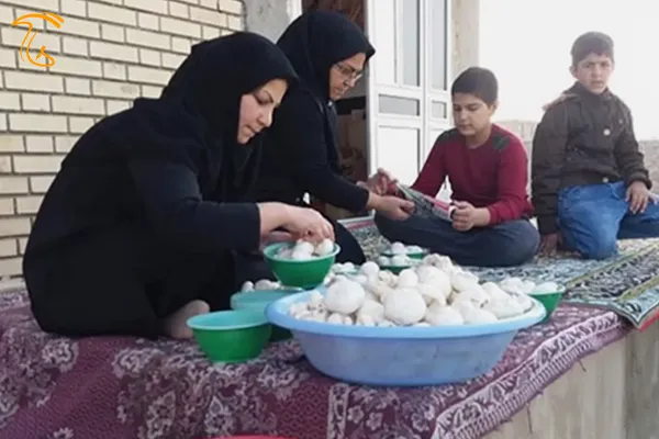 مراحل اخذ مجوز مشاغل خانگی