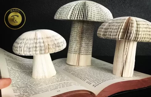 برای جلوگیری از قطع درختان برای تهیه کاغذ چه کنیم؟ تولید کاغذ از قارچ برای جلوگیری از قطع درختان
