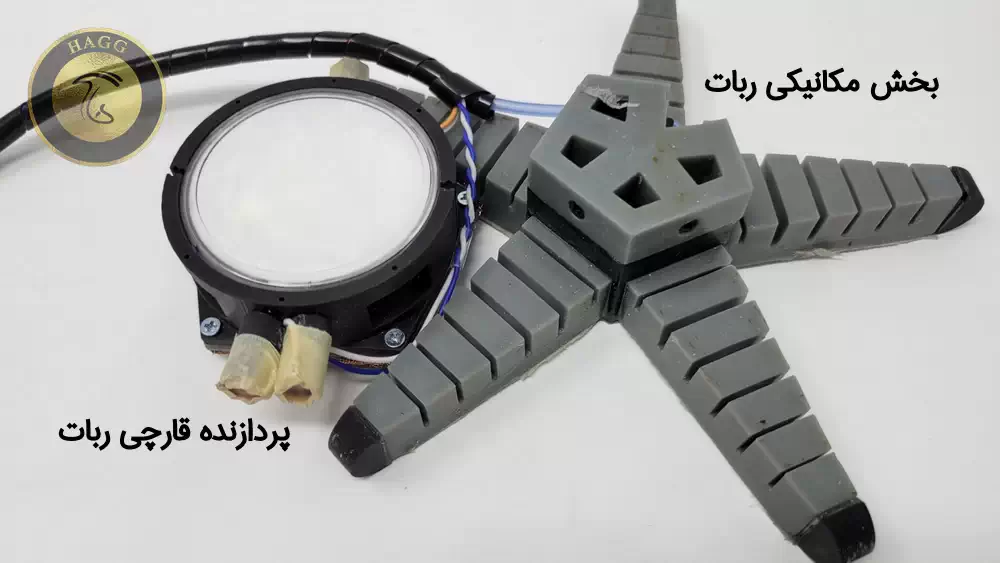 بخشهای مختلف ربات قارچی