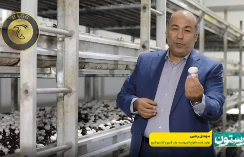 عکسی است از مصاحبه مهندس مهدی رجبی در برنامه کارستان شرکت رامند مجار و کمپوست جوانه