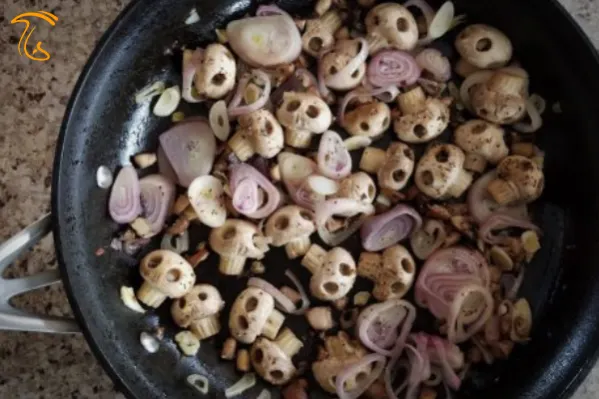 قارچ هالوین
