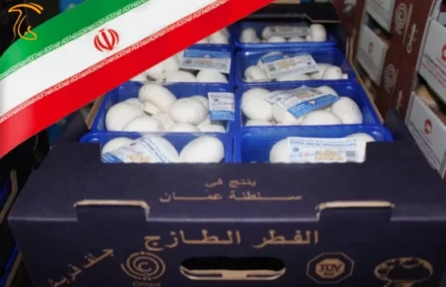 اخبار کوتاه - تولید قارچ در عمان توسط تولیدکننده قارچ ایرانی (شرکت قارچ سبلان در اردبیل)