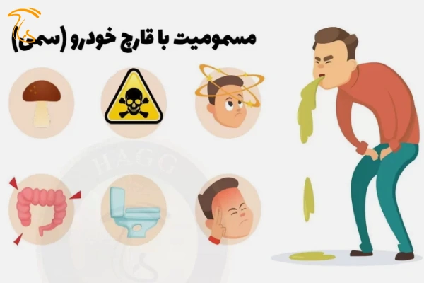 اخبار کوتاه - علائم مسمومیت با قارچ سمی