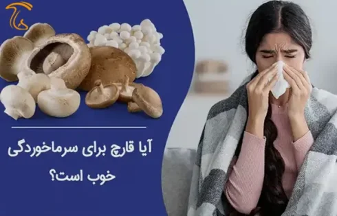 آیا قارچ برای سرماخوردگی خوب است