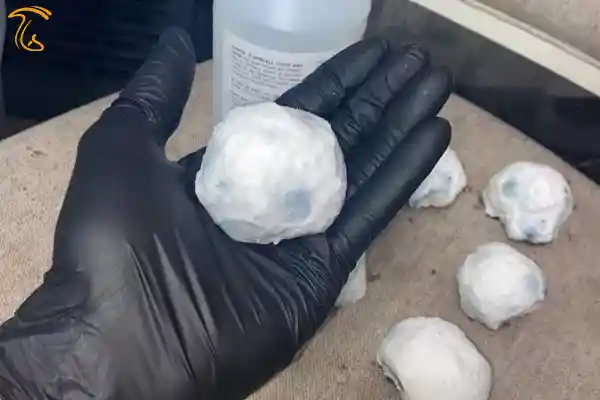 ماشروم گوله برفی