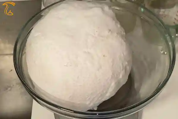 ماشروم گوله برفی با وزن بیشتر از یک کیلوگرم