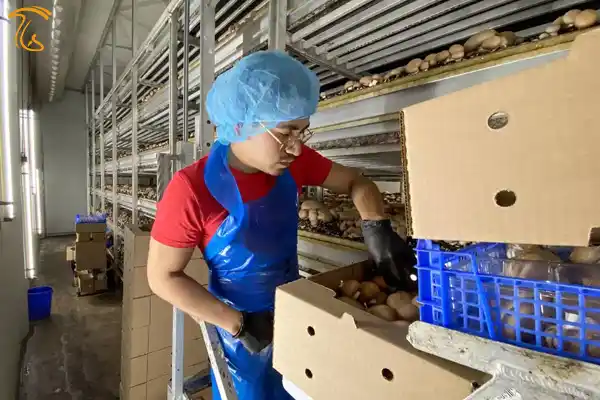 سیاست مهاجرتی جدید آمریکا بسیاری از کارگران خارجی را بیکار خواهد کرد.
