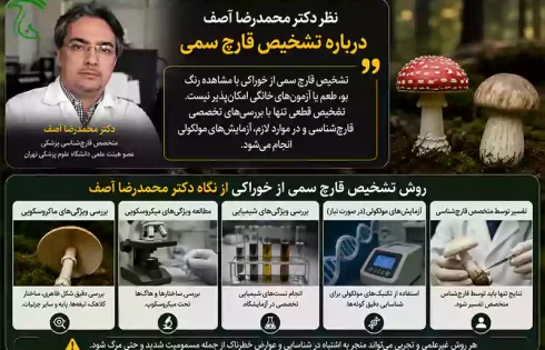 روش تشخیص قارچ سمی از خوراکی؛ شناسایی قارچ‌های وحشی بدون آزمایشگاه امکان‌پذیر نیست
