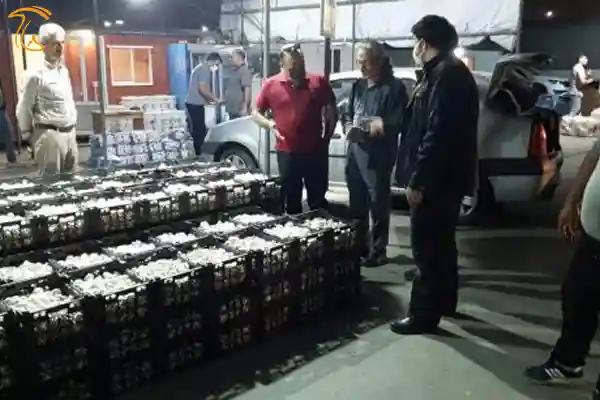 قدمی در راستای حمایت از تولیدکنندگان