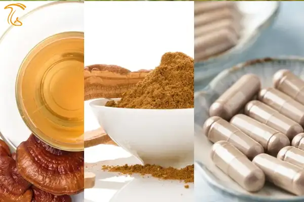 انواع روش های عصاره گیری و استخراج عصاره قارچ