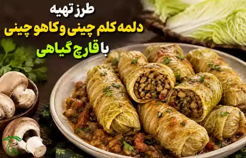 طرز تهیه دلمه کلم چینی و کاهو چینی با قارچ گیاهی