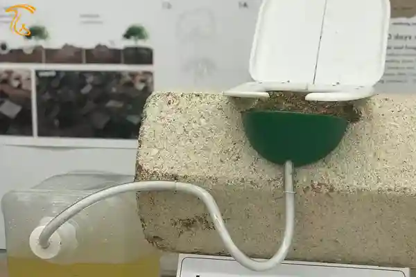 نمونه اولیه MycoToilet در مقیاس کوچک برای شرکت در رویداد علمی BioDesign سال 2018