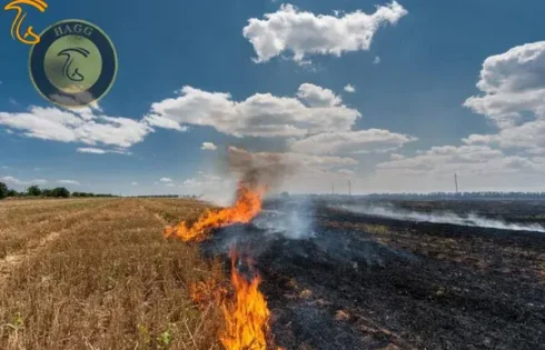 آتش زدن کاه و کلش گندم ممنوع است!!!