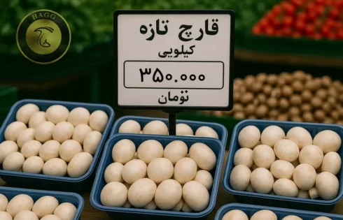 گران فروشی قارچ دکمه ای بعد از جنگ 12 روزه با اسرائیل