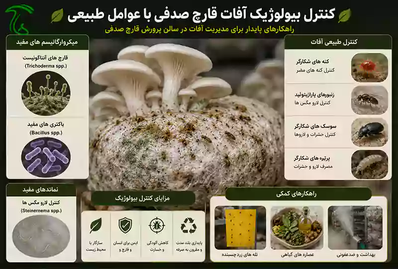 کنترل بیولوژیک آفات قارچ صدفی با عوامل طبیعی