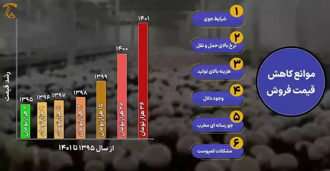 نمودار میانگین قیمت قارچ در سالهای گذشته