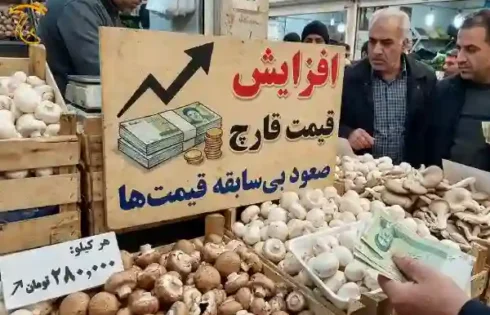 اطلاعیه های انجمن صنفی قارچ کشور در سال 1404