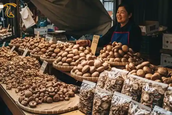 آسیا مهمترین و بزرگترین بازار قارچ شیتاکه در جهان