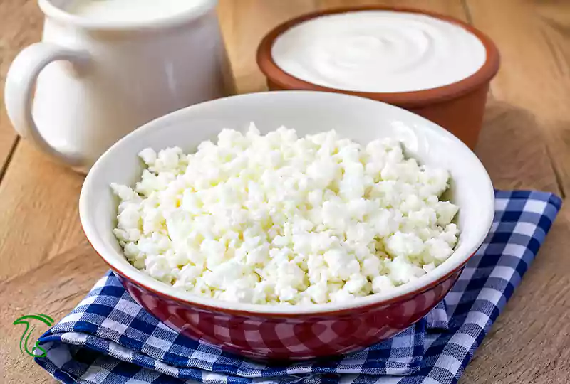 تاریخچه قارچ کفیر