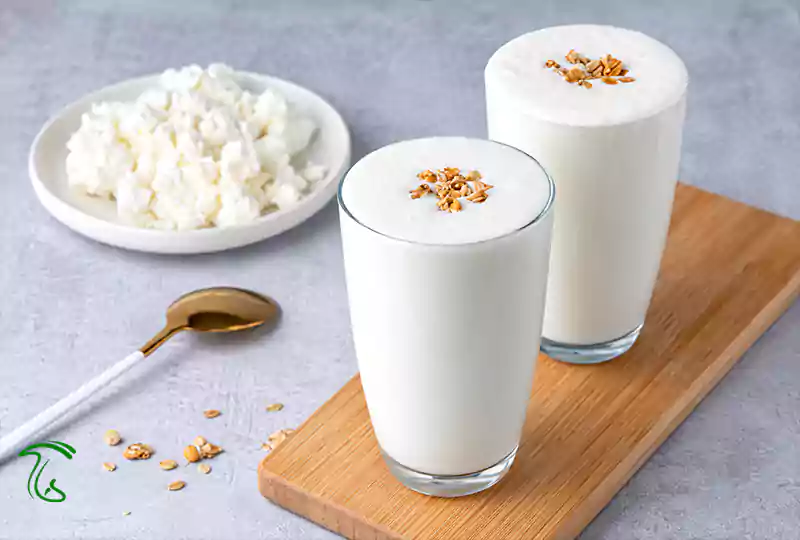خواص قارچ کفیر - قارچ کفیر بهتر است یا شیر