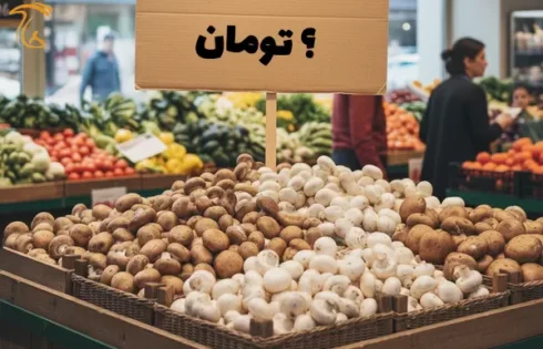 تعیین نرخ فروش قارچ توسط انجمن صنفی