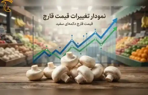 نمودار تغییرات و میانگین قیمت قارچ سال 1404