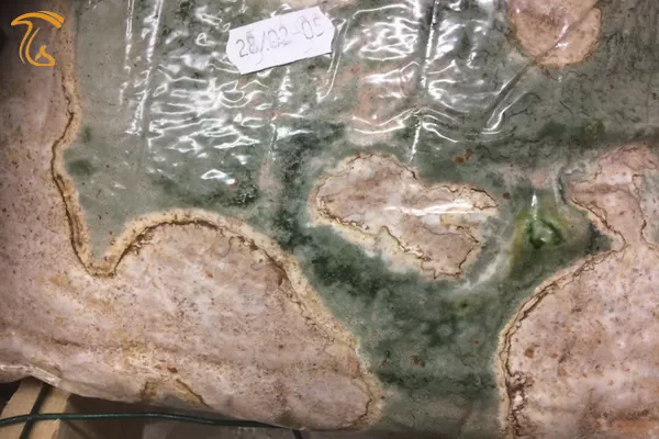 بیماری کپک سبز تریکودرما در بستر قارچ انوکی