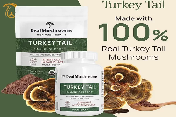 خواص و طریقه مصرف قارچ دم بوقلمون