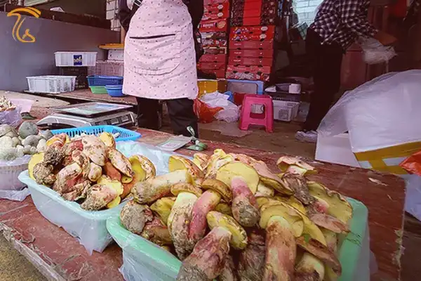 فروش قارچ آدم کوچولوها (Lanmaoa asiatica) در بازارهای محلی چین