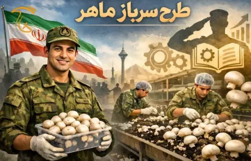 معرفی طرح سرباز ماهر برای اشتغالزایی در طرح هایی مثل پرورش قارچ