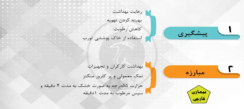 آشنایی با بیماری قارچ
