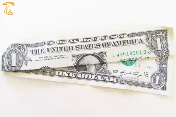 ارزآوری صادرات قارچ برای کشور
