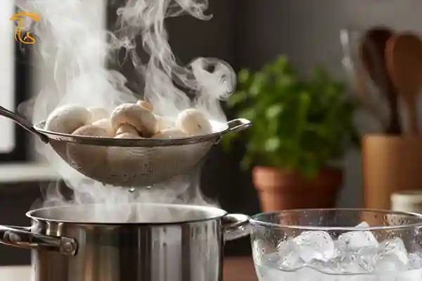 شوک حرارتی به قارچ ها برای حفظ ظاهر و رنگ