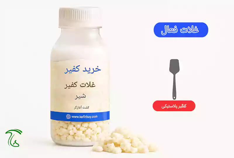 صنایع تبدیلی قارچ کفیر