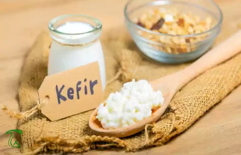 بازار جهانی قارچ کفیر