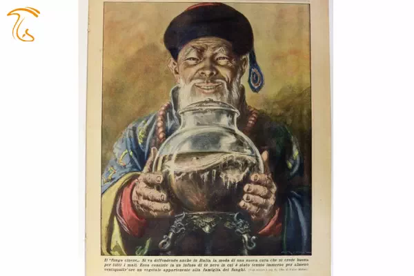نمونه ای از تبلیغات نوشیدنی کامبوجا در اواسط قرن بیستم