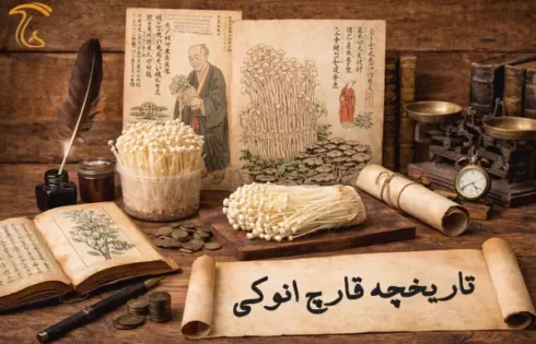 تاریخچه قارچ انوکی