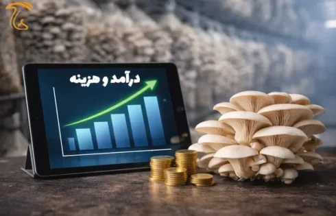 سود و درآمد قارچ صدفی