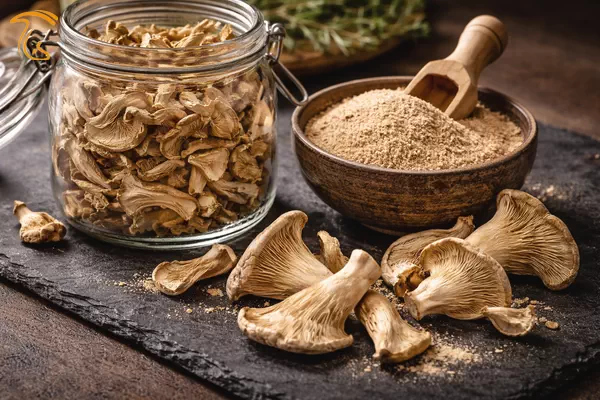 صنایع تبدیلی بهترین روش کسب درآمد از قارچ صدفی با کمترین ریسک