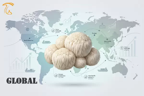 وضعیت بازار قارچ یال شیر در سطح جهانی