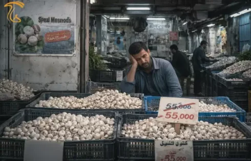 مشکلات فروش و بازاریابی قارچ در ایران