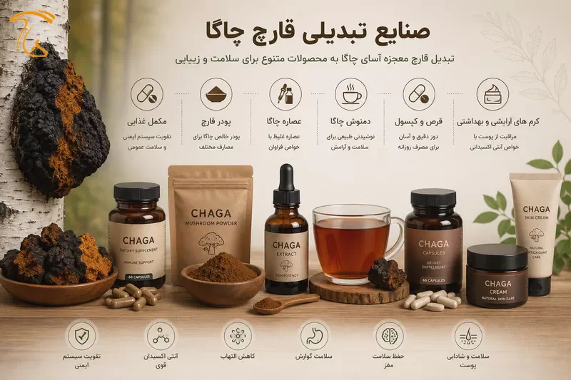 محصولات و صنایع تبدیلی قارچ چاگا