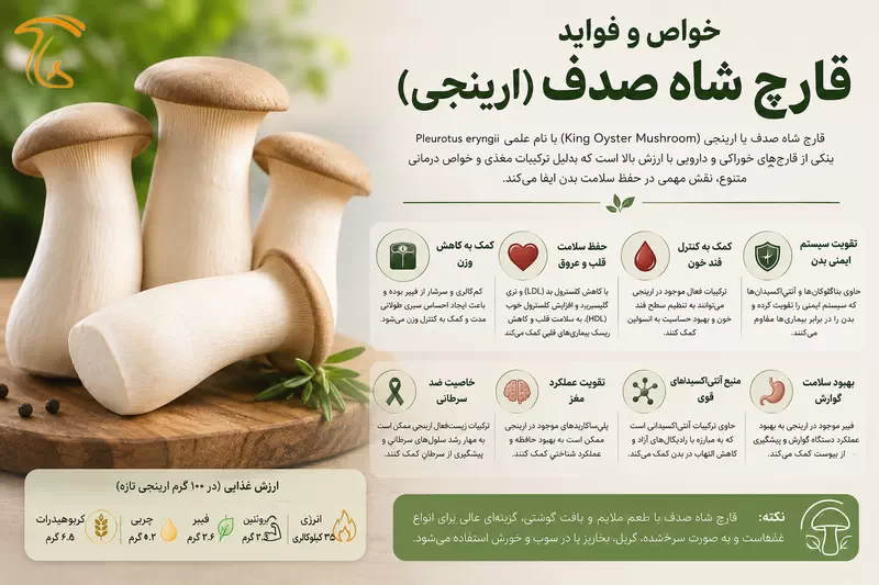 ایفوگراف خواص و فواید قارچ شاه صدف یا ارینجی