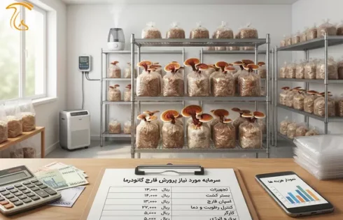 سرمایه مورد نیاز برای پرورش قارچ گانودرما و کسب و کار مرتبط