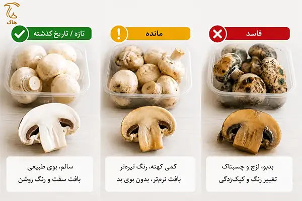 علائم قارچ تازه و فاسد