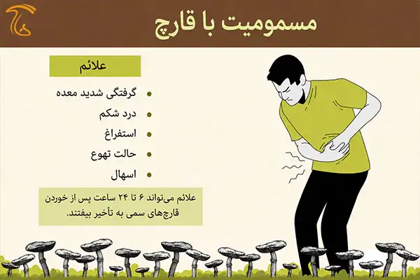 علائم خوردن قارچ فاسد و خراب