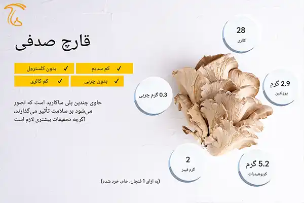 ارزش غذایی قارچ صدفی