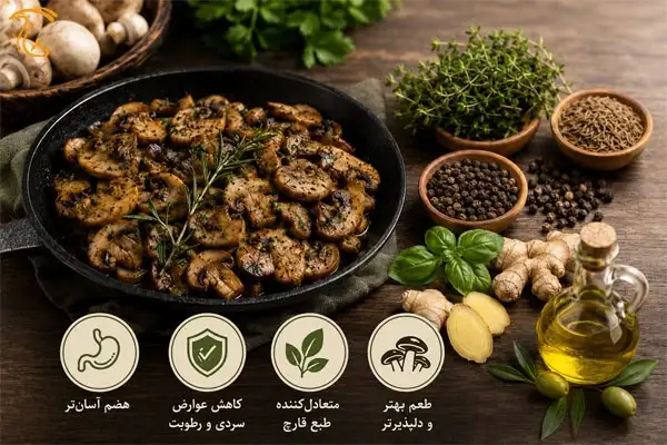 مصلح قارچ چیست؟
